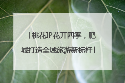 桃花IP花开四季，肥城打造全域旅游新标杆